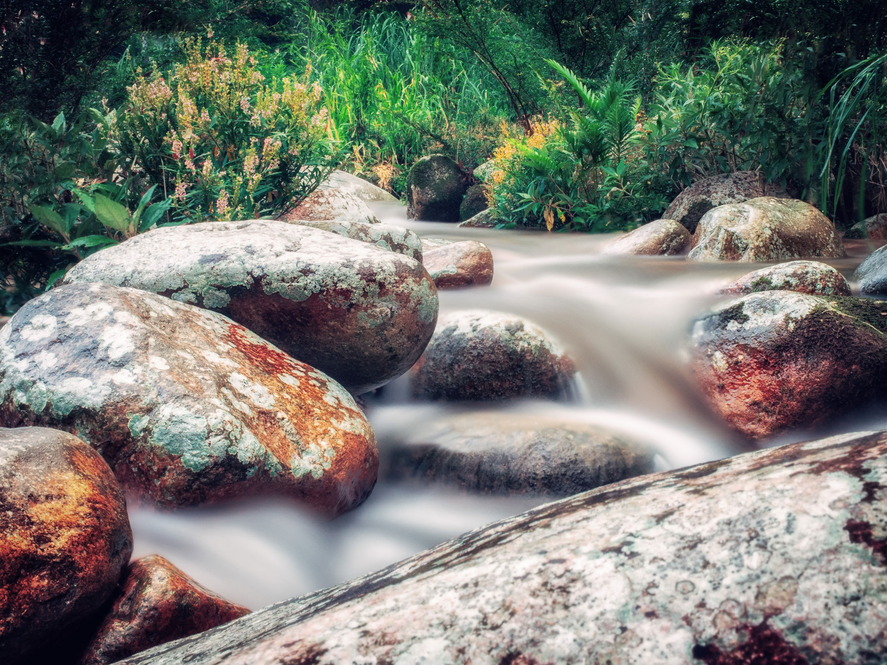 Видео со звуками природы. Звук ручья. Дорога для релаксации вода камни дерево. Звуки природы для медитации. Шум ручья.